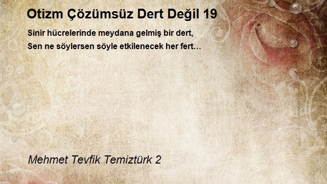 Mehmet Tevfik Temiztürk 2