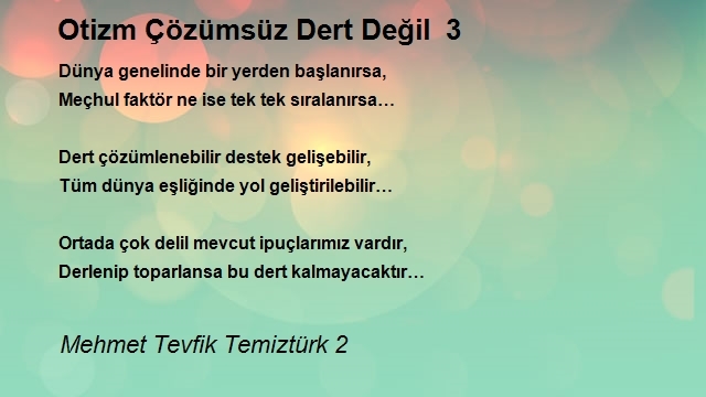 Mehmet Tevfik Temiztürk 2