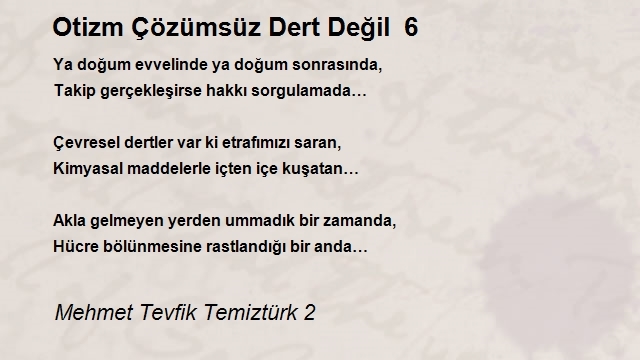 Mehmet Tevfik Temiztürk 2