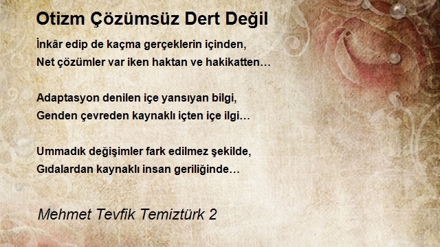 Mehmet Tevfik Temiztürk 2