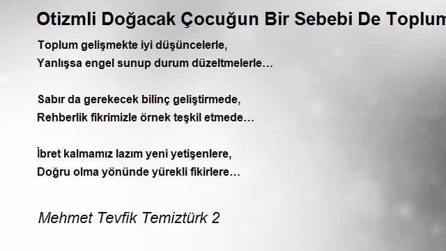 Mehmet Tevfik Temiztürk 2