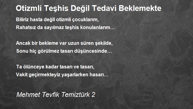 Mehmet Tevfik Temiztürk 2