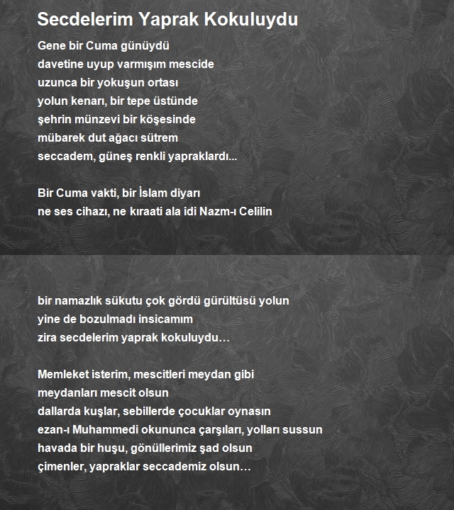 Orhan Cesur