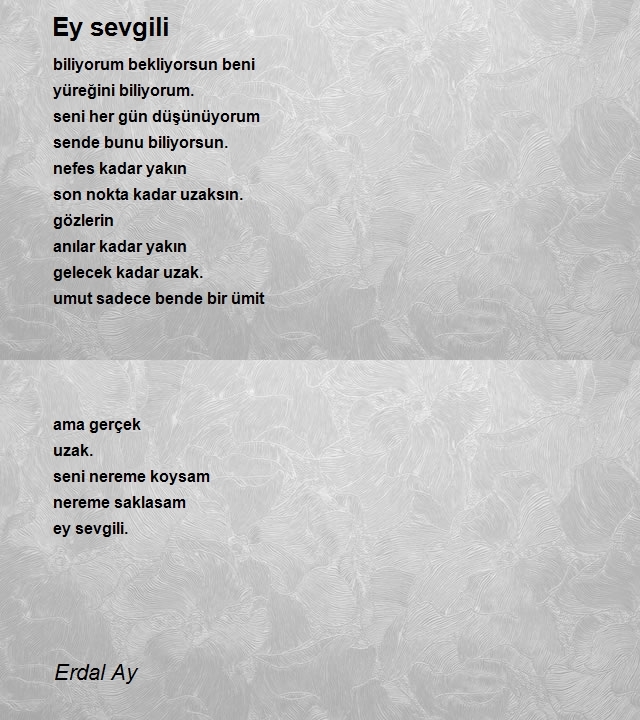 Erdal Ay