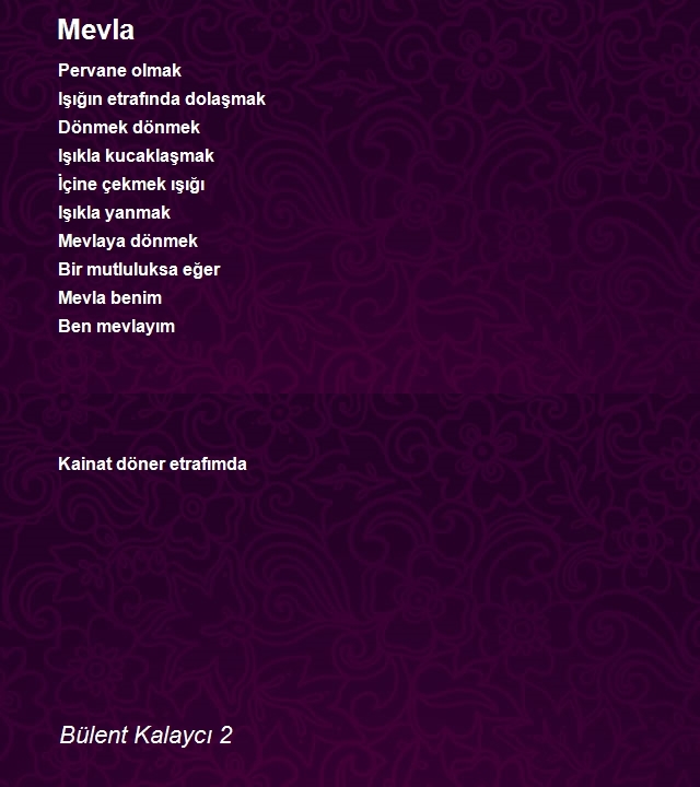 Bülent Kalaycı 2