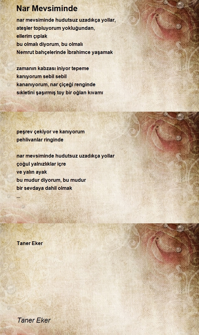 Taner Eker