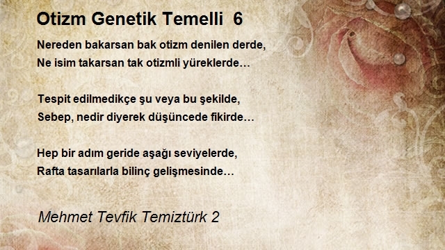 Mehmet Tevfik Temiztürk 2