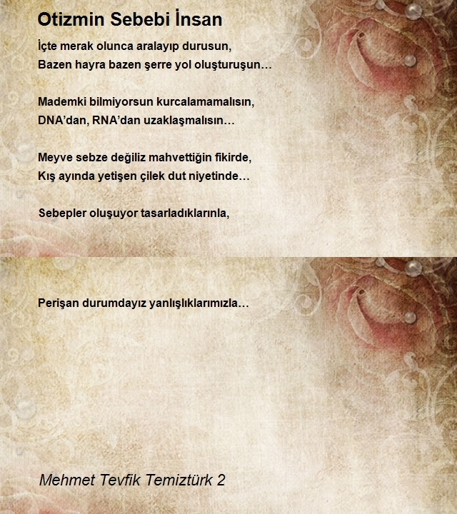 Mehmet Tevfik Temiztürk 2