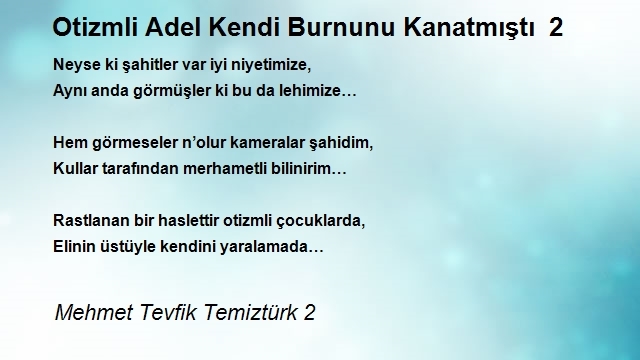 Mehmet Tevfik Temiztürk 2