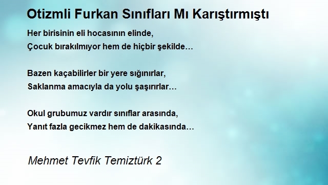 Mehmet Tevfik Temiztürk 2