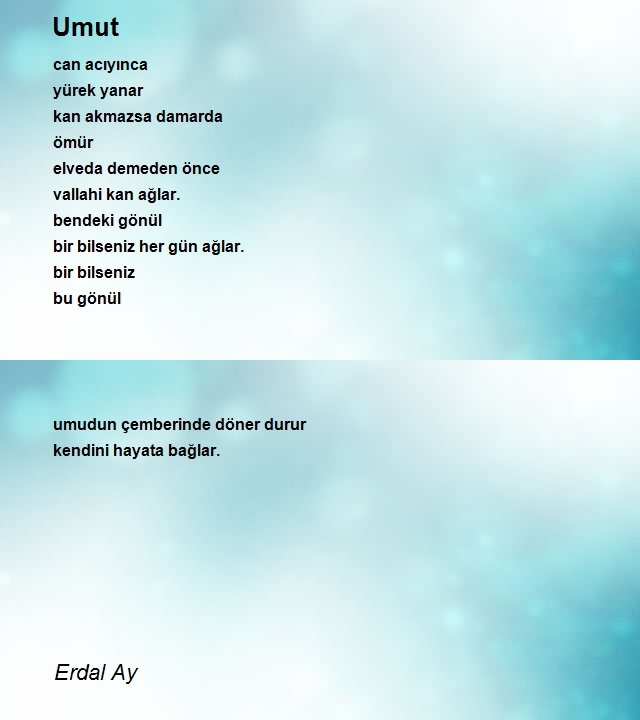 Erdal Ay