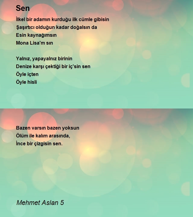 Mehmet Aslan 5