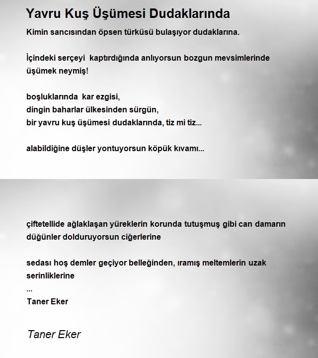 Taner Eker