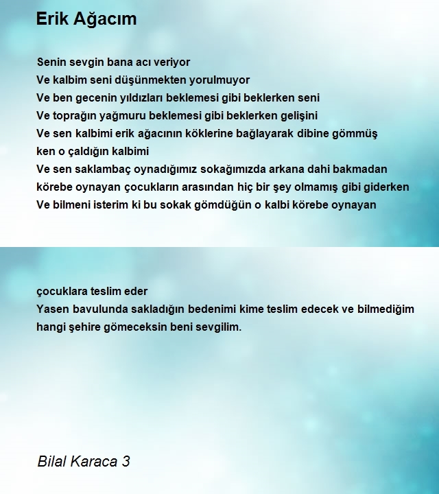 Bilal Karaca 3