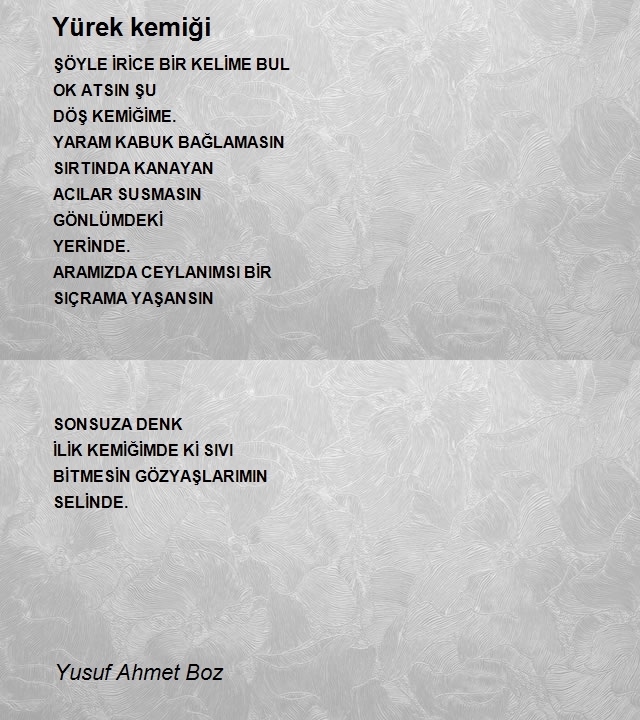 Yusuf Ahmet Boz