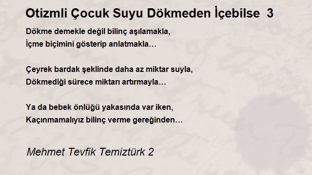 Mehmet Tevfik Temiztürk 2