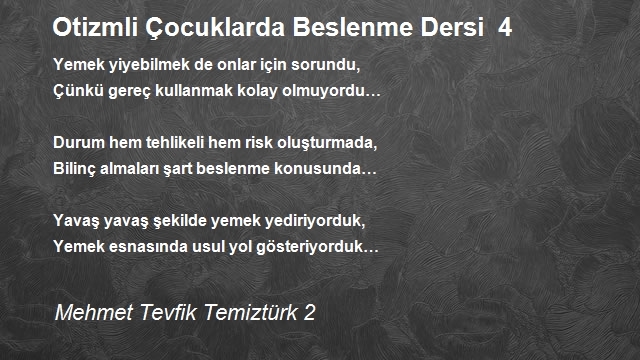 Mehmet Tevfik Temiztürk 2