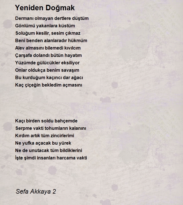 Sefa Akkaya 2