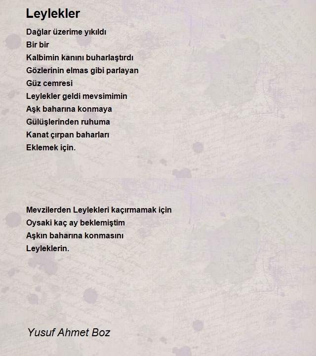 Yusuf Ahmet Boz