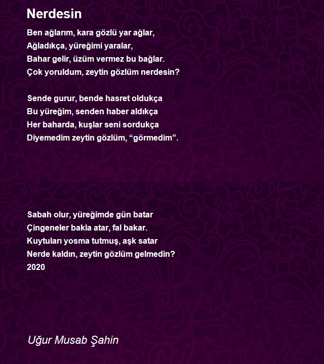 Uğur Musab Şahin