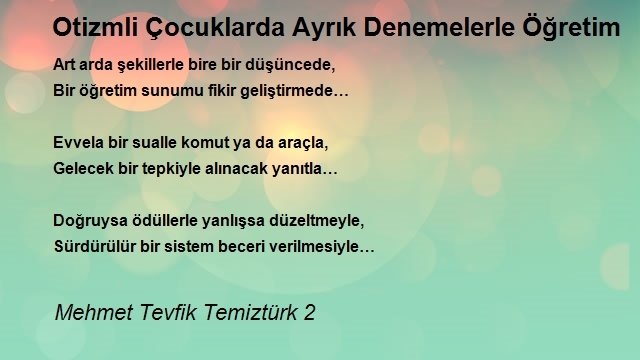 Mehmet Tevfik Temiztürk 2