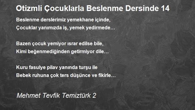 Mehmet Tevfik Temiztürk 2