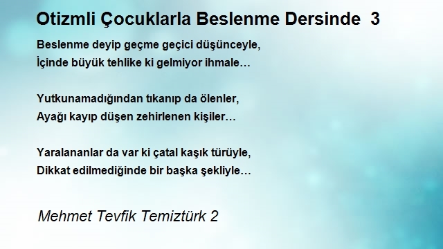 Mehmet Tevfik Temiztürk 2