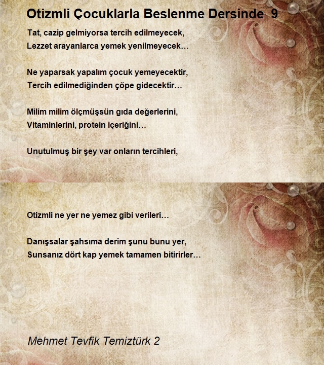 Mehmet Tevfik Temiztürk 2