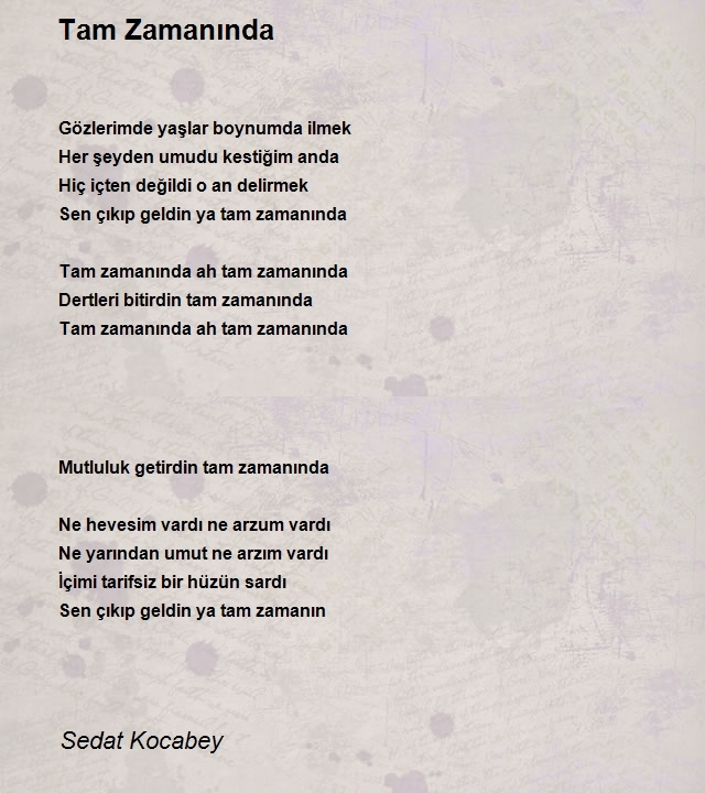 Sedat Kocabey