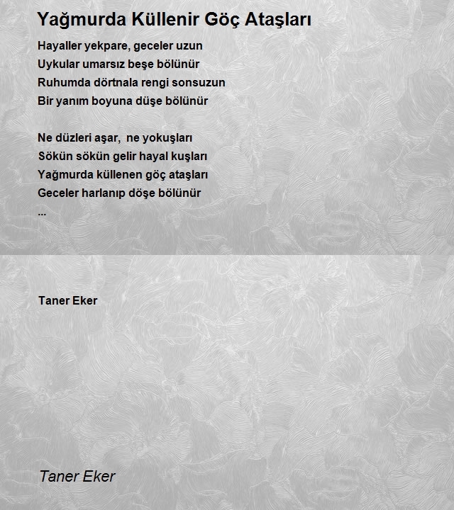 Taner Eker