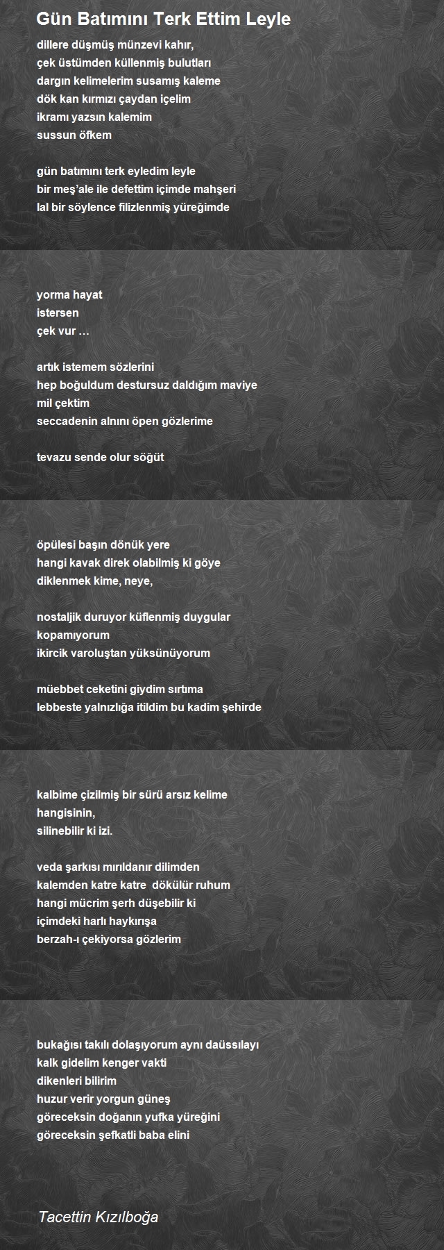 Tacettin Kızılboğa