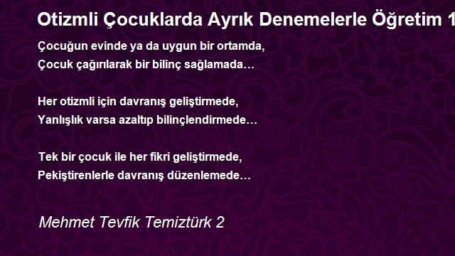 Mehmet Tevfik Temiztürk 2