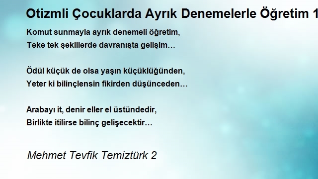 Mehmet Tevfik Temiztürk 2