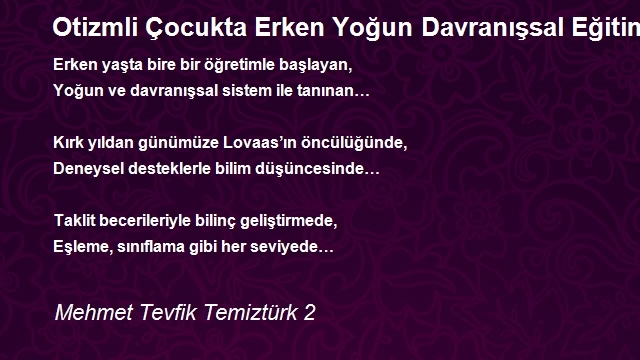 Mehmet Tevfik Temiztürk 2