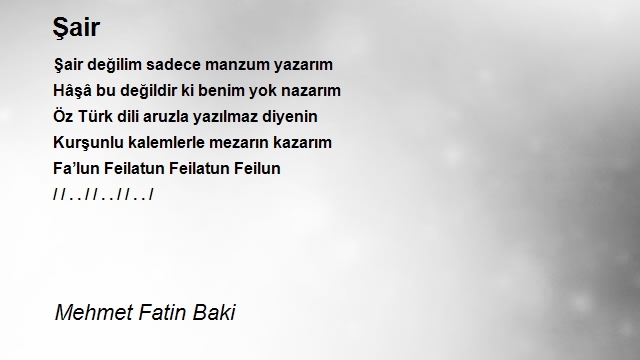 Mehmet Fatin Baki