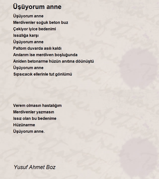 Yusuf Ahmet Boz