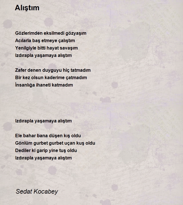 Sedat Kocabey