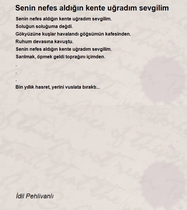 İdil Pehlivanlı