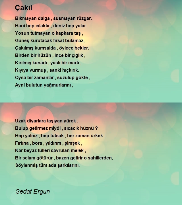 Sedat Ergun