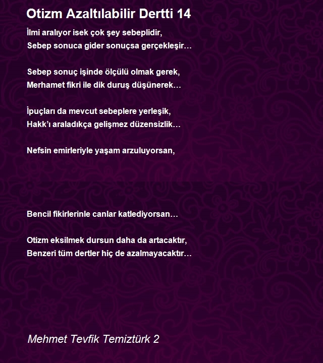 Mehmet Tevfik Temiztürk 2