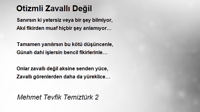 Mehmet Tevfik Temiztürk 2