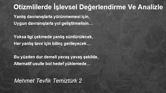 Mehmet Tevfik Temiztürk 2