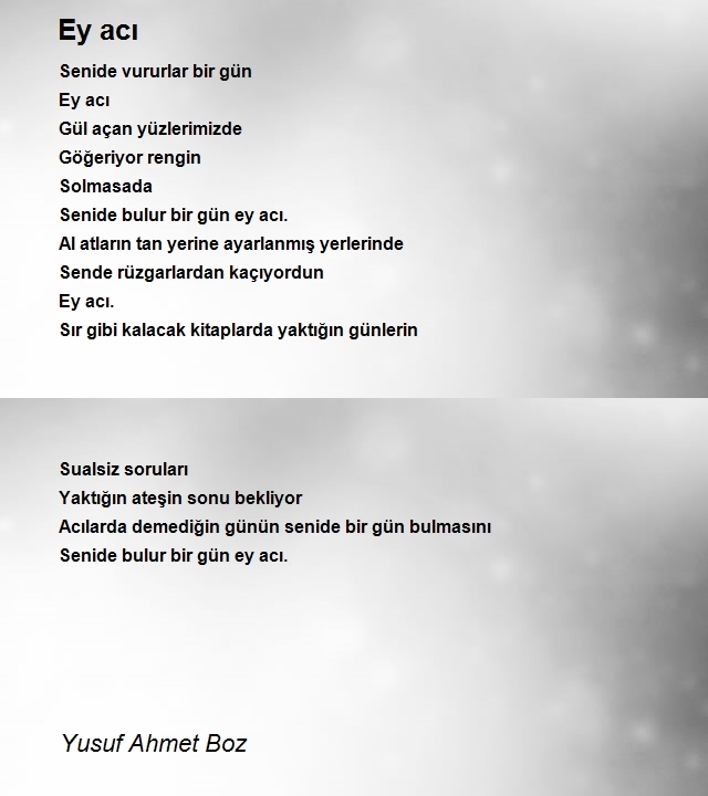 Yusuf Ahmet Boz