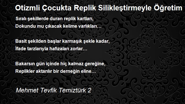 Mehmet Tevfik Temiztürk 2