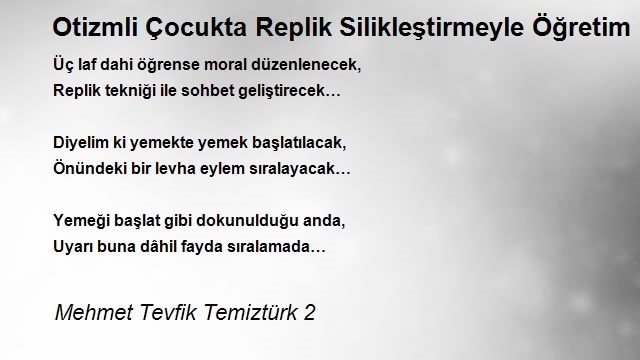 Mehmet Tevfik Temiztürk 2