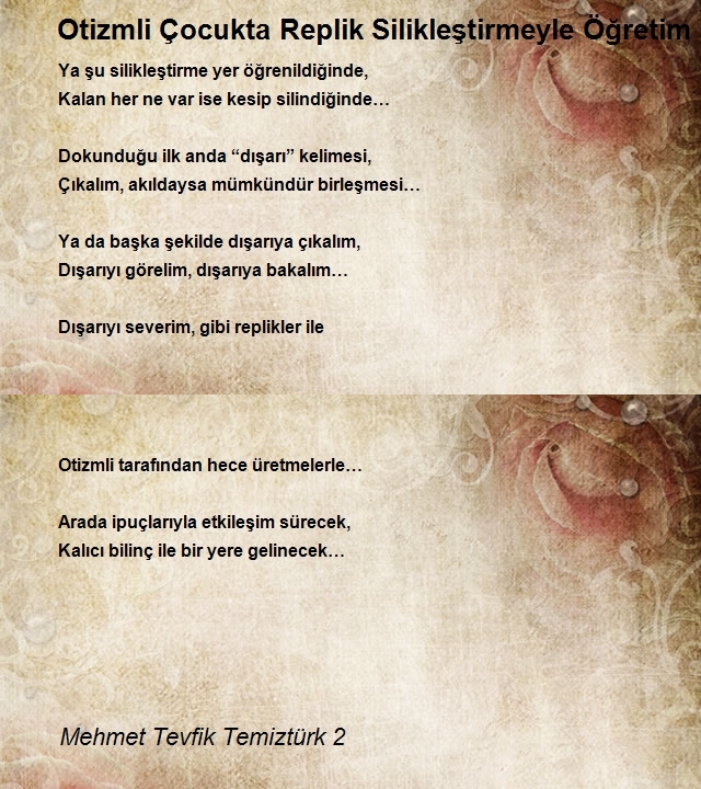 Mehmet Tevfik Temiztürk 2