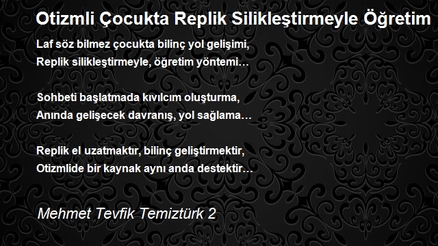 Mehmet Tevfik Temiztürk 2