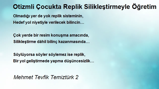 Mehmet Tevfik Temiztürk 2