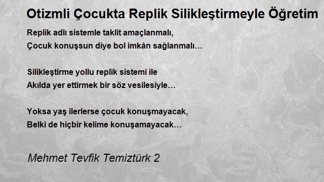 Mehmet Tevfik Temiztürk 2