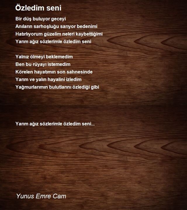 Yunus Emre Cam